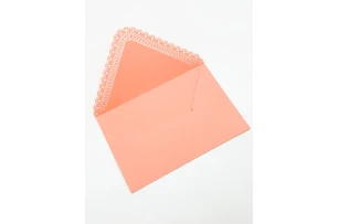 plicuri 11x17cm set 20buc 00154