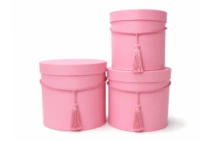 cutii pentru cadouri set  3buc 00172