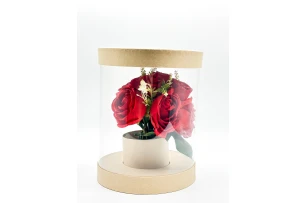 cutie transparenta p-u flori assorti buc.00102