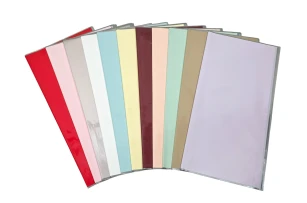 pelicula p-u  flori  58x58cm set.20buc.00040