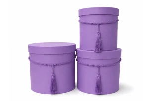 cutii pentru cadouri set  3buc 00172