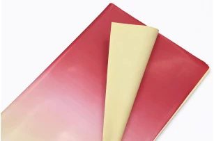 pelicula p-u  flori  58x58cm set.20buc.00032