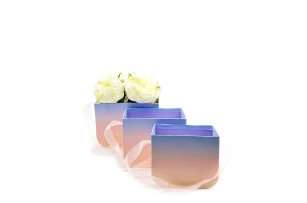 cos p-u flori set  3buc 00088