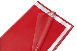 pelicula p-u  flori  58x58cm set.20buc.00032