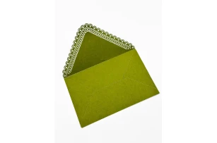 plicuri 11x17cm set 20buc 00154