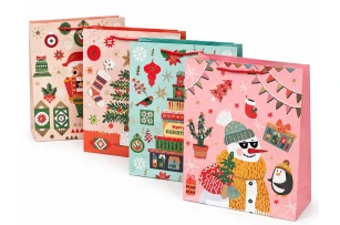 pungi cadou 39x30x12cm set.12buc.00188