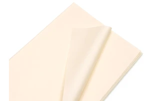 pelicula p-u  flori  58x58cm set.20buc.00030