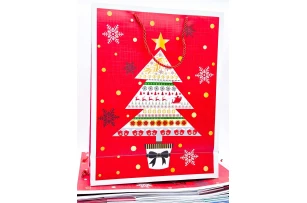 pungi cadou 39x30x12cm set.12buc.00188