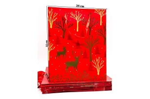 pungi cadou 26x32x10cm set.12buc.00162