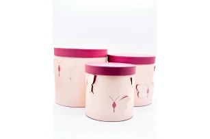 cutii p-u cadou assorti set.  3buc.00180