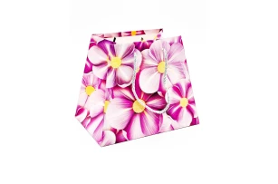 pungi cadou 17x21x13cm set.12buc.00144