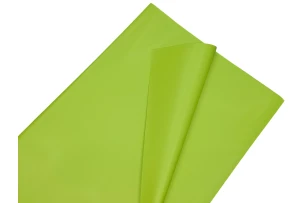 pelicula p-u  flori  58x58cm set.20buc.00032