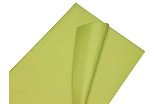 pelicula p-u  flori  58x58cm set.20buc.00032