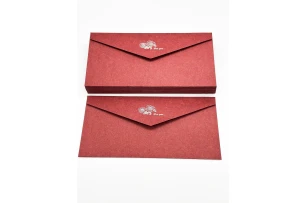 plicuri 22x11cm set 25buc 00160