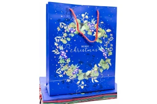 pungi cadou 26x32x10cm set.12buc.00162