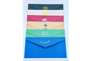 plicuri 22x11cm set 25buc 00160