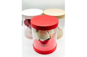 cutie transparenta p-u flori assorti buc.00102