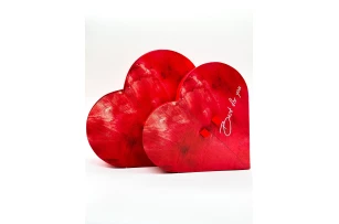 cutii p-u cadou assorti set.  2buc.00156