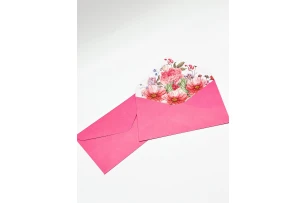 plicuri 11x16cm set 20buc 00061