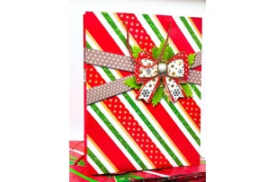 pungi cadou 39x30x12cm set.12buc.00188