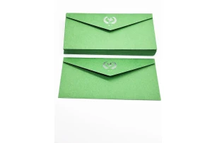 plicuri 22x11cm set 25buc 00160