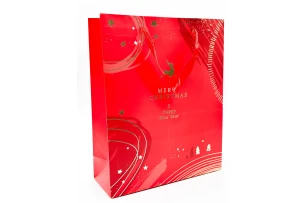 pungi cadou 26x32x10cm set.12buc.00162