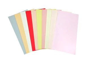 pelicula p-u  flori  58x58cm set.20buc.00032