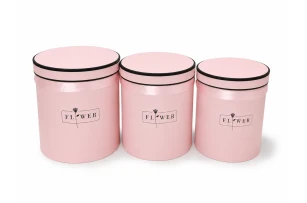 cutii pentru cadouri set  3buc 00184
