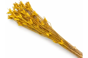 nigella oriental 60-70cm 60gr 00066