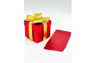 cutii p-u cadou 30cm buc.00066