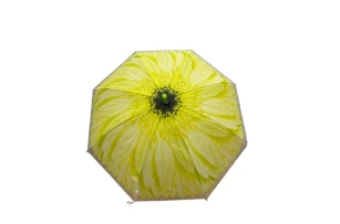 umbrele p-u copii buc 00065