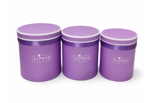 cutii pentru cadouri set  3buc 00184