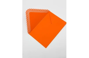 plicuri 11x17cm set 20buc 00154