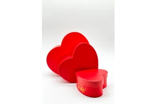 cutii p-u cadou set  3buc 00080