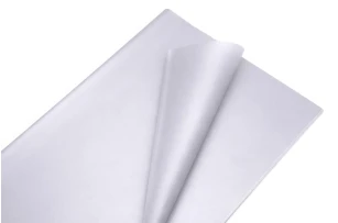 pelicula p-u  flori  58x58cm set.20buc.00046