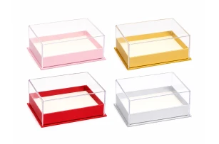 cutii p-u cadou buc 00055