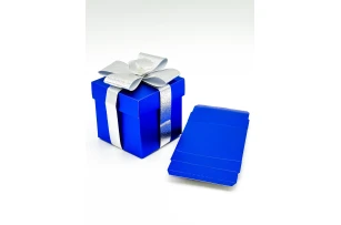 cutii p-u cadou 20cm buc.00034