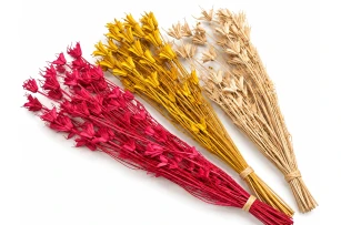 nigella oriental 60-70cm 60gr 00066