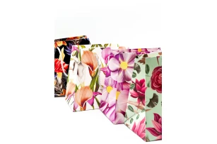 pungi cadou 17x21x13cm set.12buc.00144