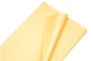 pelicula p-u  flori  58x58cm set.20buc.00032