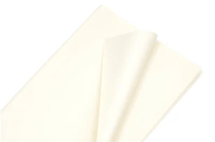 pelicula p-u  flori  58x58cm set.20buc.00032