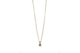 pandantiv pe lantisor buc 00075