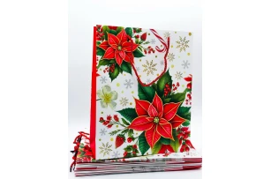 pungi cadou 26x32x10cm set.12buc.00162