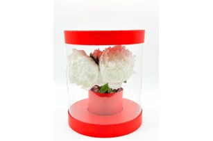 cutie transparenta p-u flori assorti buc.00102