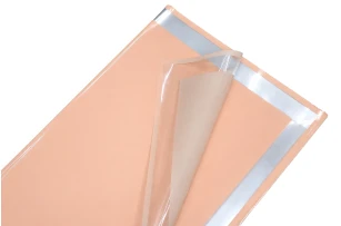 pelicula p-u  flori  58x58cm set.20buc.00032