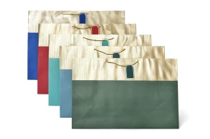 pungi cadou 60x40x22cm set.12buc.00384