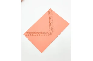 plicuri 11x17cm set 20buc 00154