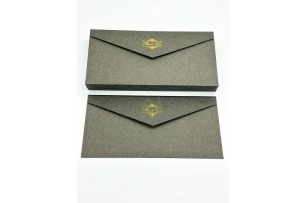 plicuri 22x11cm set 25buc 00160