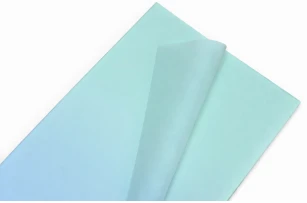 pelicula p-u  flori  58x58cm set.20buc.00032