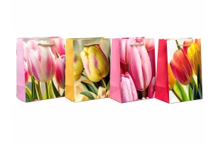 pungi cadou 18x23x10cm set.12buc.00102